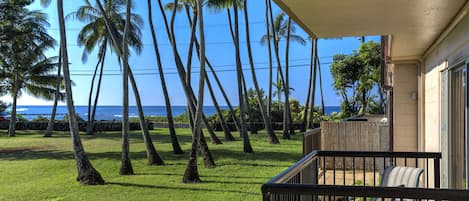 Ocean View from Lanai