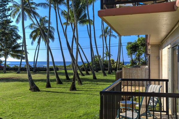 Ocean View from Lanai