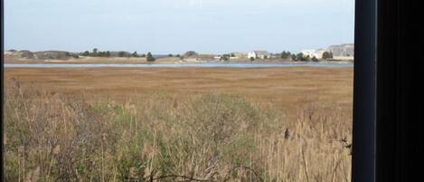 Looking off the deck over cape cod marsh & dunes