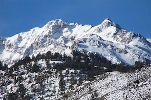 Sports dâhiver