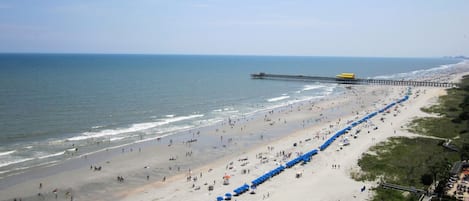 Direct Oceanfront View From Living Room and Master Bedroom !!