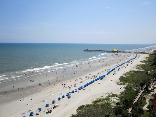 Direct Oceanfront View From Living Room and Master Bedroom !!