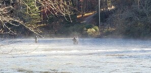 Cool morning on the river. 