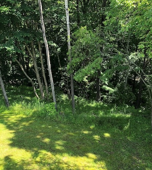 A view from the deck to the ravine and stream.