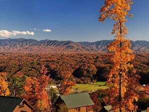 Fall View