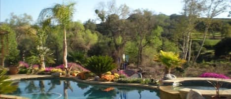 Pool and a portion of the back yard