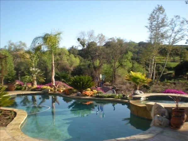 Pool and a portion of the back yard