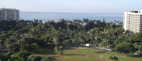 Park and Ocean View