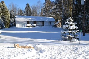 Winter wonderland - Not yet available for winter rentals.