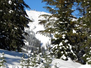 Ski In Ski Out Trail