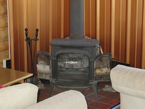 Wood stove with fireplace screen