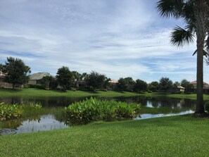 view from lanai