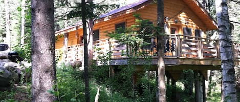 Cabin Eleanor in the pines.