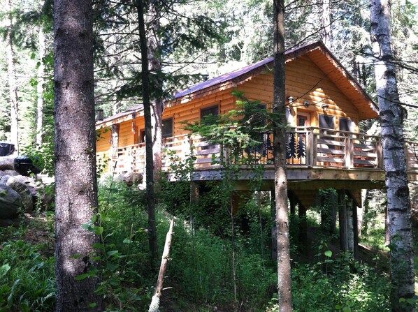 Cabin Eleanor in the pines.