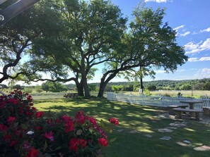 View from your Cottage