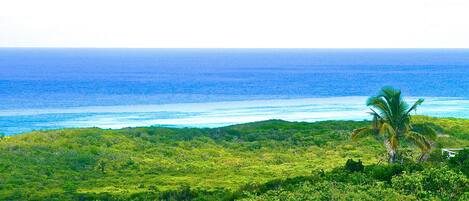 Heavenly Front Porch view of Surfer's Beach, Atlantic Ocean