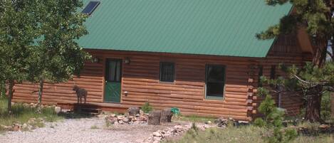 Charming, artsy log cabin!  30 Day Minimum Rental.  Enjoy!