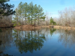Pond on property with fishing and canoe available.