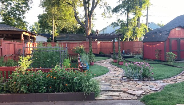 Backyard is full of plants and light in the summertime!
