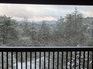 winter view off of wrap around deck