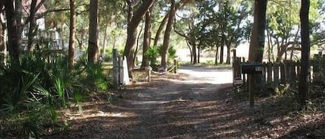 Terrain de l’hébergement 