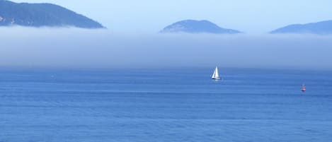 Sailboat in the Fog - View from Balcony