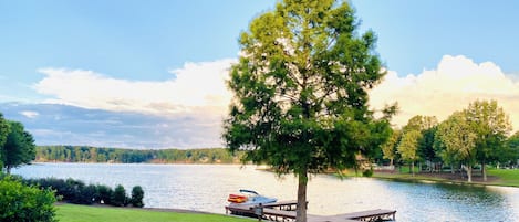 Beautiful view of the lake.
