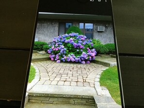 Detalj exteriör