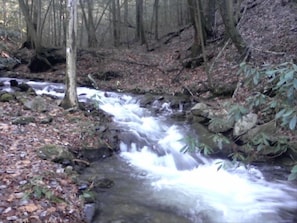 Creek in front of cabin