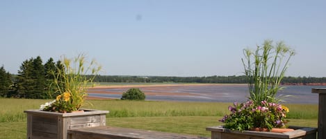 Terrain de l’hébergement 