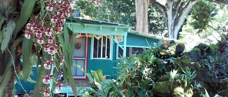 Tucked under enormous trees this cozy cabin is charming, magical and memorable.