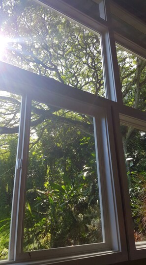 A view from the couch
