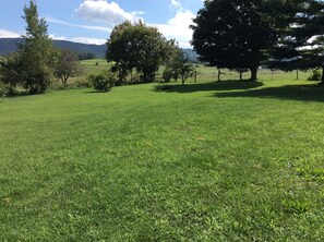 view from back yard