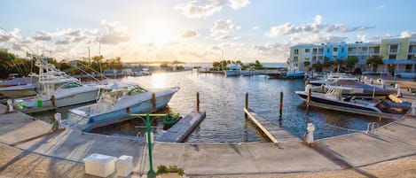 Deep water, oceanfront marina, slips available to rent