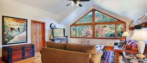 Living Room with a Mountain View