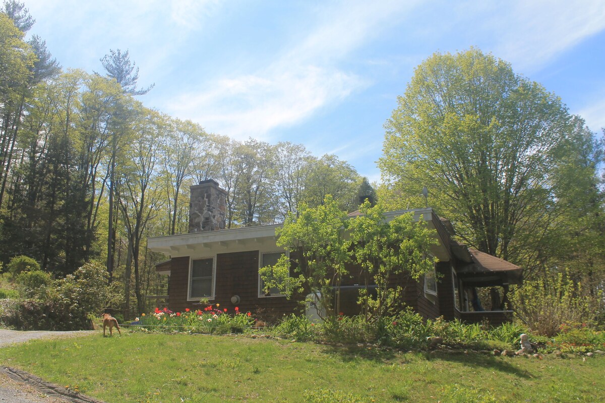 Main Image