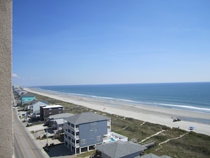 Looking south from the deck or the dinner table