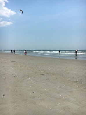 the beach, looking North