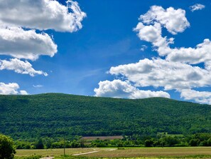 View from front porch