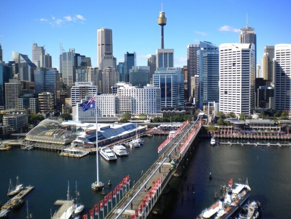 location photo - photo from building rooftop  overlooking Darling Harbour.  