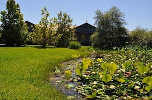 Boendeområde
