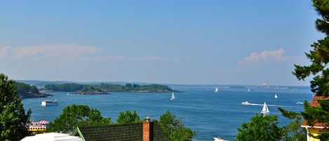 From Deck...The Bay filled with sail boats, ferries and fishing vessels.