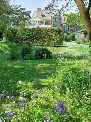 Looking up the garden