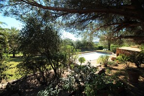 View down to the pool from house.