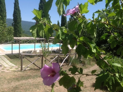 Family-friendly Cottage in authentic stone style Pool Nature Wine Relax Wifi