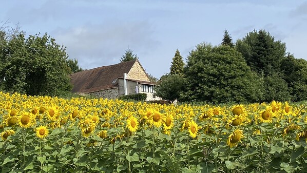Extérieur