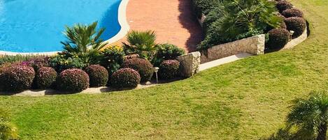 Pool View from Terrace