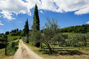 Private road leading to the house