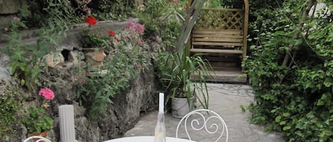 Private Patio under the wild figs and vines