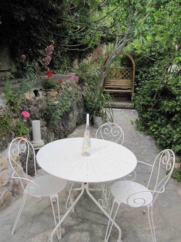 Private Patio under the wild figs and vines